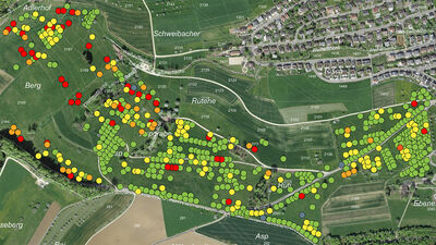 Fachanwendung GEOGrün<br><b>* NEU</b>