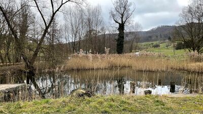 Hochwasserrückhaltebecken<br>Weiermatt, Muttenz